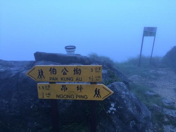 怪物大入侵